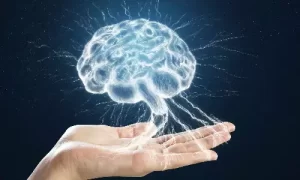 500x300_278683-brain-health