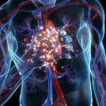 15-heart-symptoms-s2-heart-disease-warning-sign